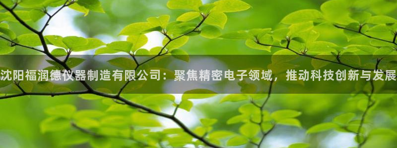 天宏娱乐涛叔：沈阳福润德仪器制造有限公司：聚焦精密电子领域，