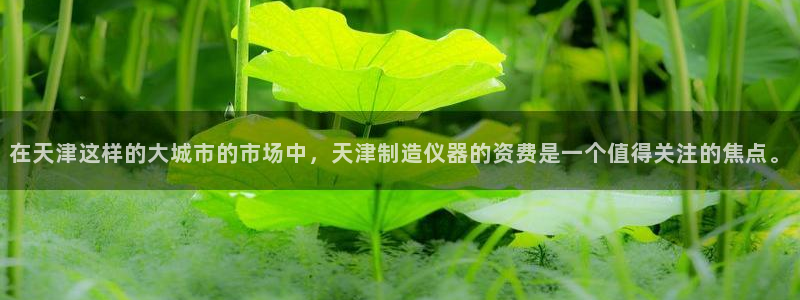 天宏娱乐吴叔抖音：在天津这样的大城市的市场中，天津制造仪器的