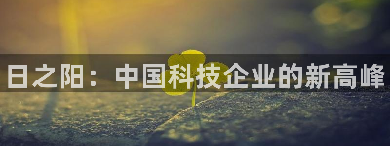天宏娱乐杨叔：日之阳：中国科技企业的新高峰