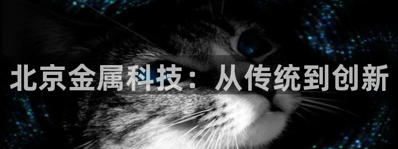 天宏娱乐是什么：北京金属科技：从传统到创新