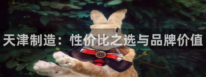 天宏娱乐招商主管招聘：天津制造：性价比之选与品牌价值