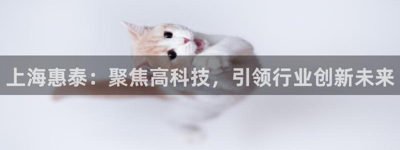 株洲天宏娱乐会所地址：上海惠泰：聚焦高科技，引领行业创新未来