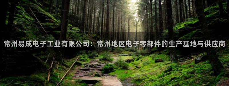 天宏娱乐王总：常州易成电子工业有限公司：常州地区电子零部件的
