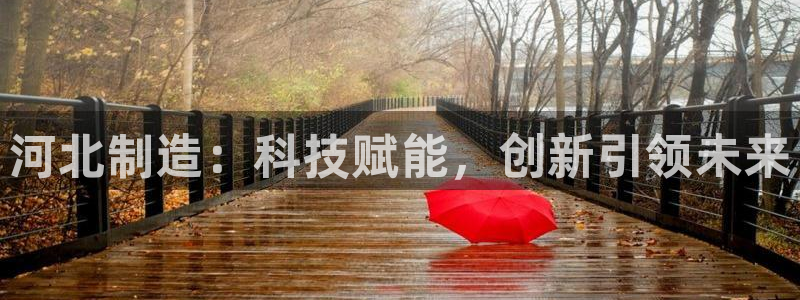 天宏娱乐怎样赚钱的：河北制造：科技赋能，创新引领未来