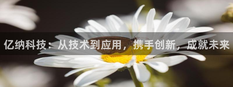 天宏娱乐河源店招聘信息：亿纳科技：从技术到应用，携手创新，成