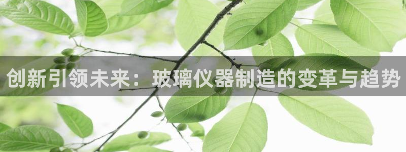 天宏娱乐石叔简介图片：创新引领未来：玻璃仪器制造的变革与趋势