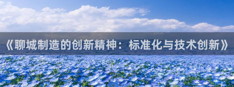 天宏娱乐指尖会：《聊城制造的创新精神：标准化与技术创新》