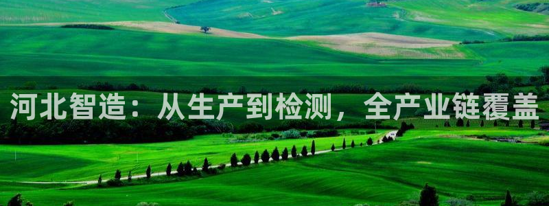 天宏娱乐怎样赚钱的：河北智造：从生产到检测，全产业链覆盖