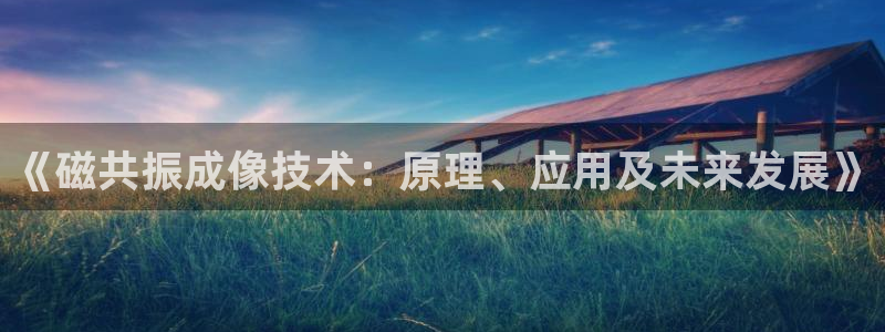 天宏娱乐男孩团：《磁共振成像技术：原理、应用及未来发展》