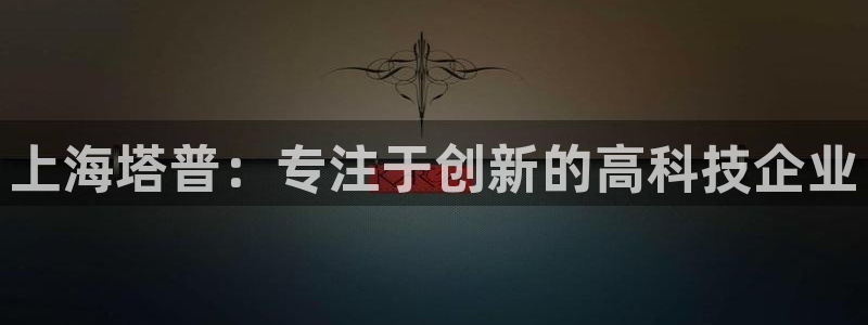 天宏娱乐官网：上海塔普：专注于创新的高科技企业