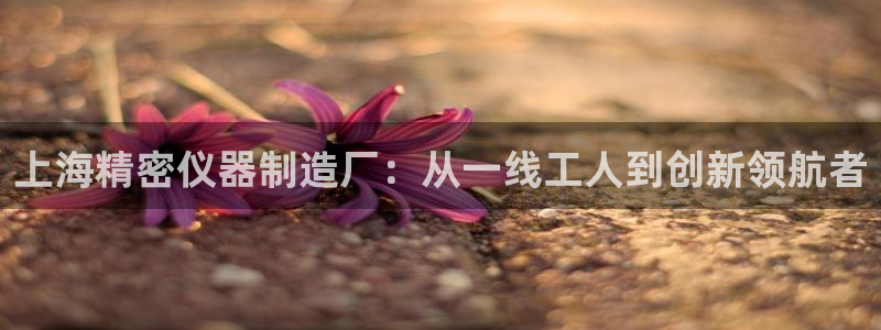天宏娱乐可靠吗：上海精密仪器制造厂：从一线工人到创新领航者
