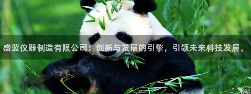天宏娱乐平台登陆：盛蓝仪器制造有限公司：创新与发展的引擎，引