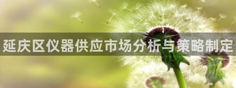 天宏娱乐指挥官：延庆区仪器供应市场分析与策略制定