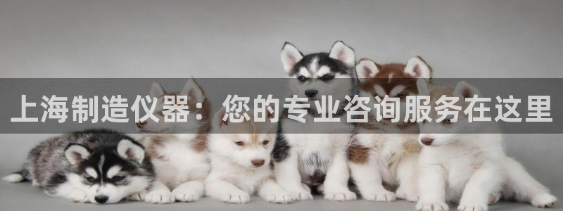 天宏娱乐天跃传媒招聘：上海制造仪器：您的专业咨询服务在这里
