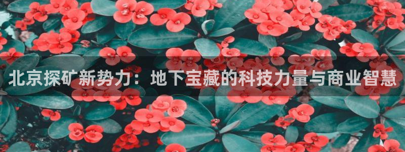 天宏娱乐秦叔的大哥：北京探矿新势力：地下宝藏的科技力量与商业