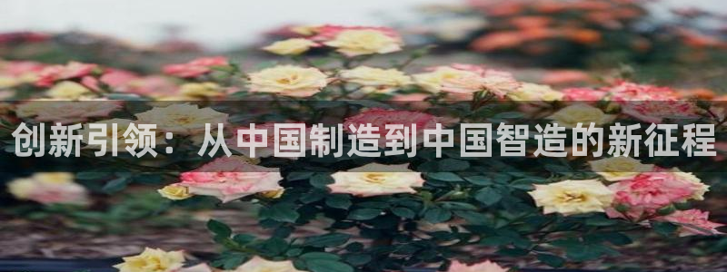 天宏娱乐大叔团队介绍：创新引领：从中国制造到中国智造的新征程