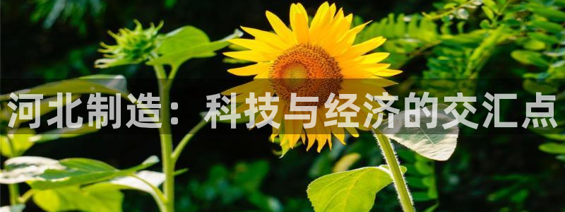 株洲天宏娱乐会所电话：河北制造：科技与经济的交汇点