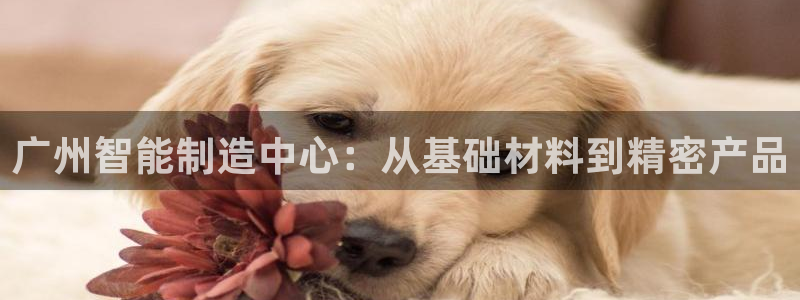 天宏娱乐倒闭了吗：广州智能制造中心：从基础材料到精密产品