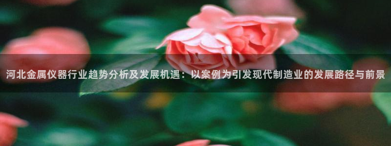 天宏娱乐app 下载：河北金属仪器行业趋势分析及发展机遇：以