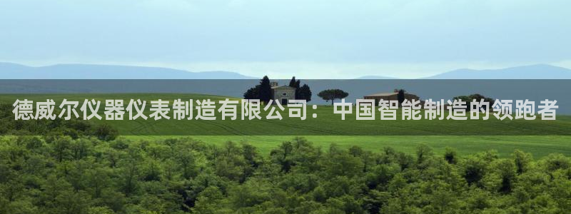 天宏娱乐招商：德威尔仪器仪表制造有限公司：中国智能制造的领跑