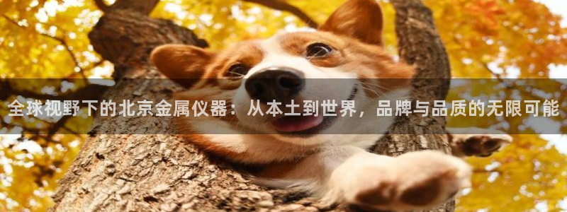 天宏娱乐官网平台注册：全球视野下的北京金属仪器：从本土到世界