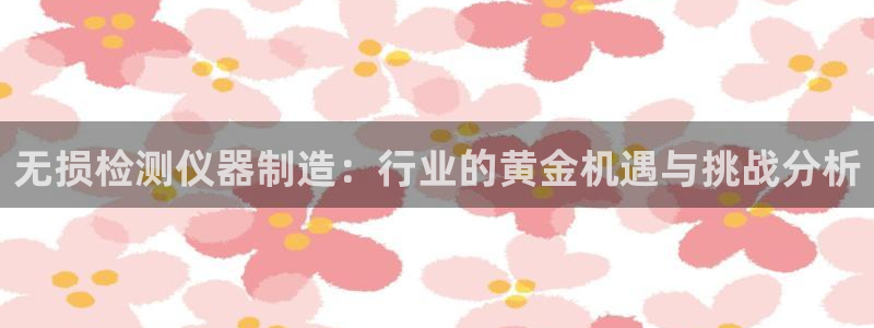 天宏娱乐赵叔：无损检测仪器制造：行业的黄金机遇与挑战分析