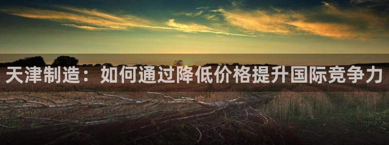 天宏娱乐 福星平台：天津制造：如何通过降低价格提升国际竞争力