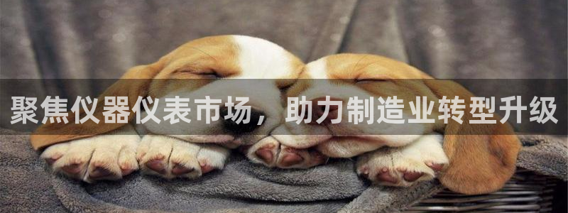 天鲸正宏娱乐是什么：聚焦仪器仪表市场，助力制造业转型升级