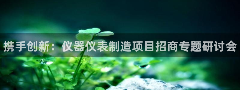 天宏集团黑骑士娱乐：携手创新：仪器仪表制造项目招商专题研讨会