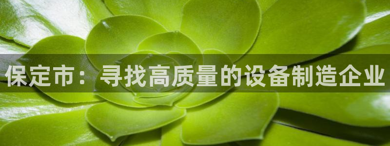天宏娱乐老板是谁：保定市：寻找高质量的设备制造企业