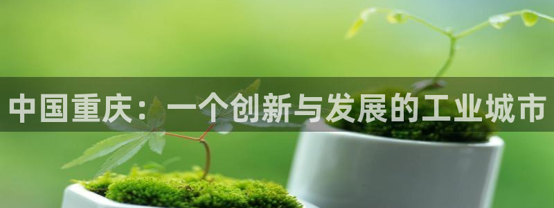 天宏娱乐666直播：中国重庆：一个创新与发展的工业城市