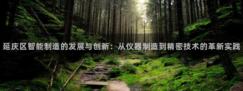 天亿娱乐宏发团队成员：延庆区智能制造的发展与创新：从仪器制造