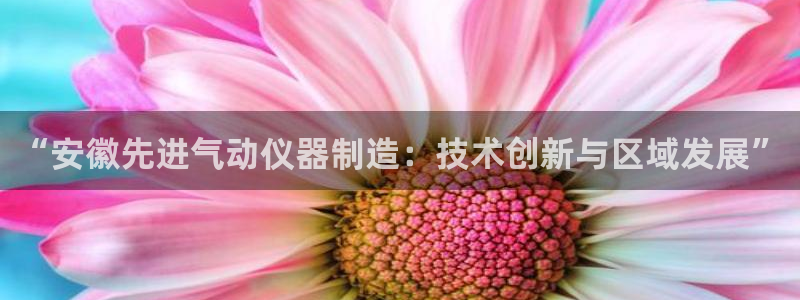 天宏娱乐怎么改号了：“安徽先进气动仪器制造：技术创新与区域发