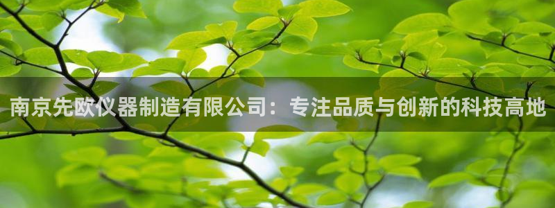 天宏娱乐 老板：南京先欧仪器制造有限公司：专注品质与创新的科