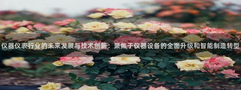 天宏娱乐开业：仪器仪表行业的未来发展与技术创新：聚焦于仪器设