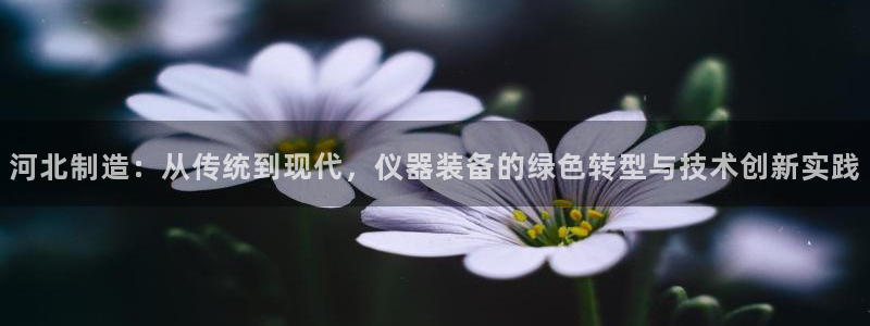 天宏娱乐朱俊伟：河北制造：从传统到现代，仪器装备的绿色转型与